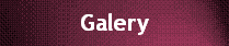 Galery